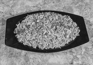 Veg Fried Rice