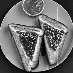 Toast Jam