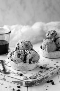 GoWhey Mocha Almond Keto Friendly Sugar free Protein Ice Cream[125ml]