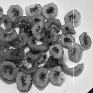 Dried Kiwi