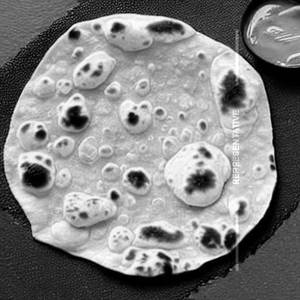 Chapati