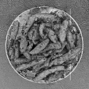 Poth Fry