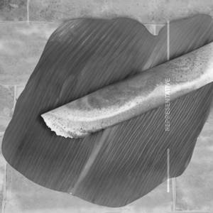 Sada Dosa