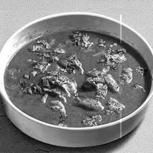 Crab Gassi