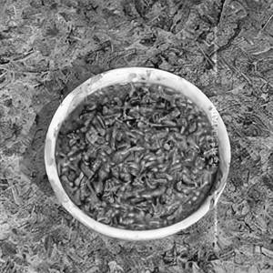 Veg Chopper Rice