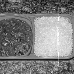 Veg Packing Rice