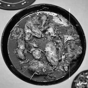 Chicken Nawabi 