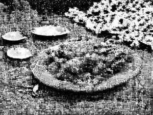 Paneer Shabnam