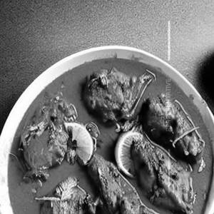 Chicken Tandoori Green Masala