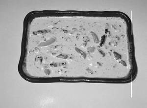 Veg Pasta White Sauce
