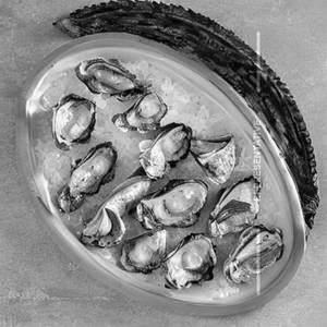 Oriental Oyster