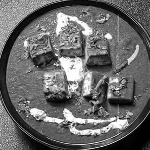 Paneer Maharaja