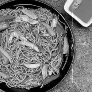 Veg Pan Fried   Noodles