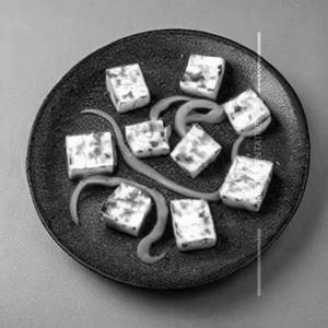 Paneer Jackson