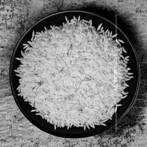 Sozzo Rice