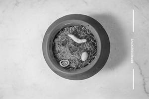 Soyabean Biryani