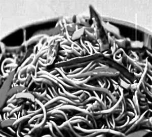 Veg Tripal Noodle