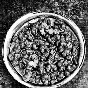 Baingan Bharta