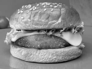 Veg Patty Burger