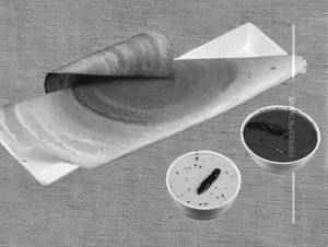 Jinni Dosa