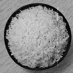 Japanese Rice