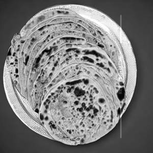 Laccha Paratha