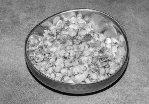 Crispy Corn