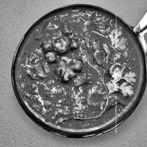 Matar Mushroom
