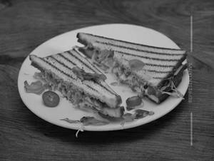 Masala Cheese Sandwich