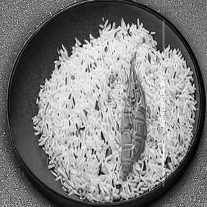 Mix Rice