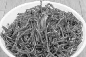 Egg Shezwan Noodles