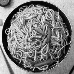 Chilli Garlic Noodles