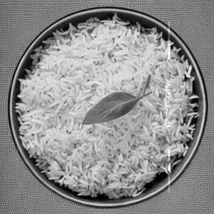 Plain Rice