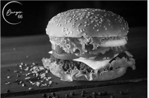 Veggie Feast Burger