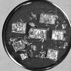 Paneer Lababdar