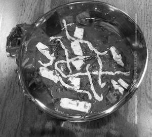 Paneer Pasanda