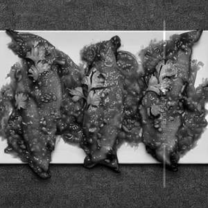 Chilli Fish