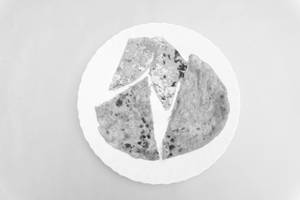 Paneer Paratha