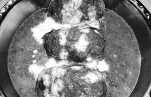 Haryali Kofta
