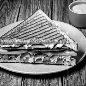 Veg Grill Sandwich