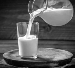Special Milk