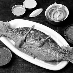 Rohu Tawa Fish Fry