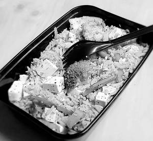 Grilled Tofu Rice Meal