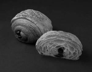 Pain Au Chocolat