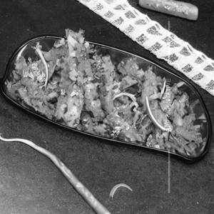 Begun Bhaja