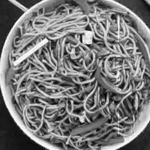 Paneer Hakka Noodles
