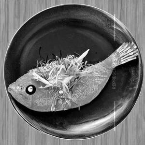 Apollo fish