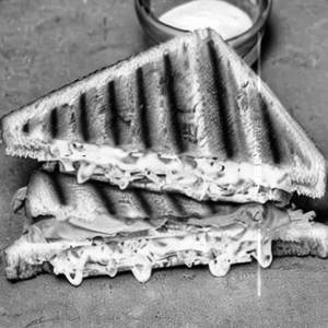 Chicken Cheese Grilled Sandwich
