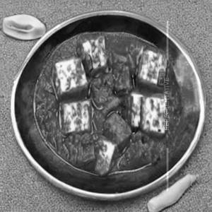 Paneer Birbali