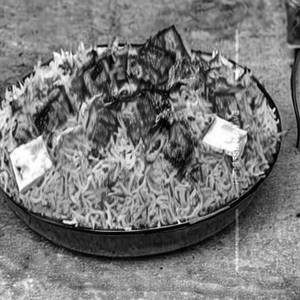 Paneer Tikka Biryani